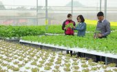 Đưa thực phẩm sạch đến với người tiêu dùng
