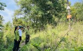 Tăng cường bảo vệ rừng, phòng cháy chữa cháy rừng mùa nắng nóng