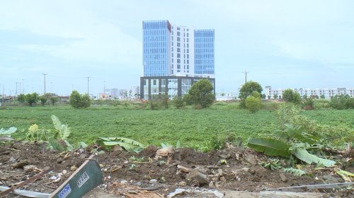 MẶT BẰNG DỰ ÁN TRUNG TÂM TIN HỌC TỈNH.jpg