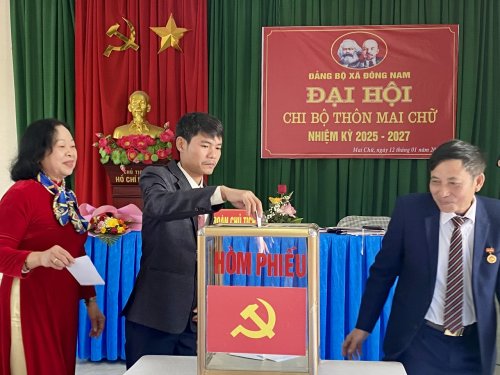 cac dai bieu bo phieu.jpg