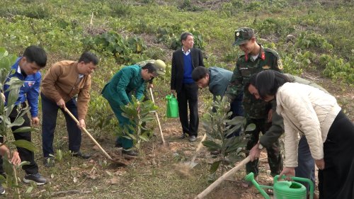 Cac  dong chi lanh dao phuong Rung thong ttrong cay dau Xuan.jpg